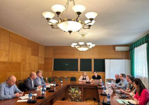 У Комітеті з питань аграрної та земельної політики відбулась робоча нарада щодо спрощення процедури відведення земельних ділянок для розвитку цифрової інфраструктури