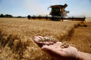USAID анонсувало новий пакет підтримки для українських фермерів