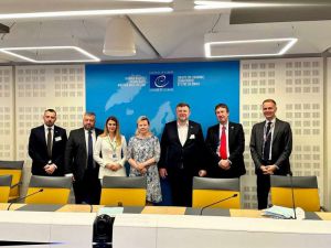 Олександр Корнієнко зустрівся з Генеральною директоркою Гендиректорату з питань демократії та людської гідності Мар’єю Руотанен