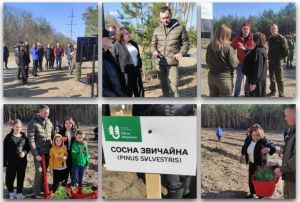 Відновлення українських лісів – спільний пріоритет держави, громад і фахової спільноти
