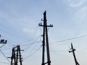 ДТЕК Донецькі електромережі вдалося повернути світло у 6,7 тисячі осель минулої доби