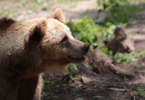 У березні туристичний збір Львівщини становив понад 1,6 млн грн