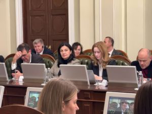 Іванна Климпуш-Цинцадзе та Вадим Галайчук узяли участь у міжкомітетському засіданні з Європарламентом