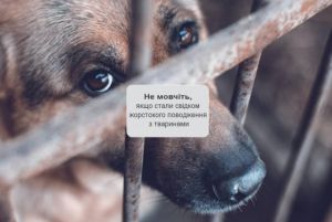 Не мовчіть, якщо стали свідком жорстокого поводження з тваринами