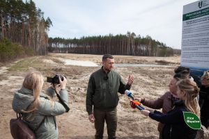 Почали відновлення найбільшої в країні незаконної рубки лісу