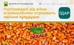 Агровиробники Донеччини отримають насіння кукурудзи