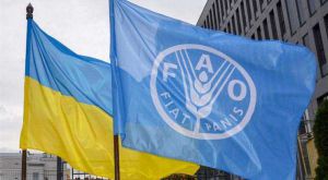 ФАО виділить на допомогу українським фермерам 150 мільйонів доларів США