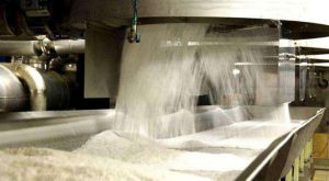 Україна відправила на експорт майже 500 тисяч тонн цукру