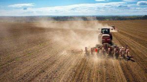 Аграрії засіяли вже 76% ярих зернових та зернобобових культур від прогнозованих площ