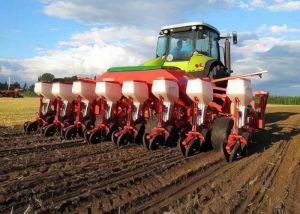 Аграрії засіяли вже 87 відсотків ярих зернових та зернобобових культур