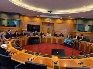 Комітет з питань економічного розвитку провів зустріч із головою Комітету  з міжнародної торгівлі Європейського Парламенту