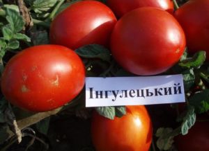 Внесено зміни до реєстрів сортів рослин