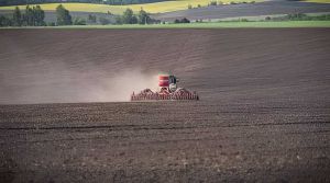 Аграрії засіяли вже 94% ярих зернових та зернобобових культур від прогнозованих площ