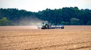 Посівна-2025: аграрії України практично завершили весняну посівну