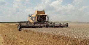 У трьох областях Півдня України розпочали збирання  ранніх культур