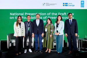 Відбулася національна презентація законопроєкту про засади «зеленого» відновлення України