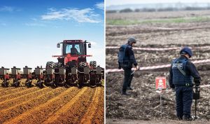 Рахункова палата проводить опитування аграріїв щодо гуманітарного розмінування сільськогосподарських земель