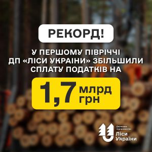 ДП «Ліси України» встановило черговий рекорд: майже 9 млрд грн за квартал!
