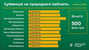 Розподіл субвенції на старшу профільну школу: чергове засідання комісії