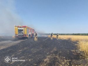 Ворог знищує врожай на Донеччині!