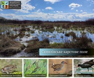 У Скнилові з’явиться новий заказник: природа карстових озер під охороною