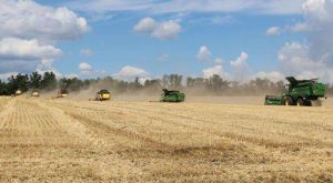 Українські аграрії продовжують збирати врожай