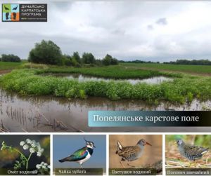 На Львівщині створять ландшафтний заказник «Попелянське карстове поле»