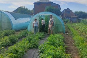 Ветеран із Херсонщини розвиває тепличне господарство на Львівщині