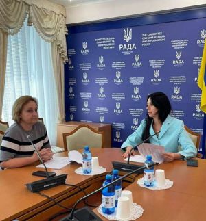 Тетяна Скрипка: Робоча група працює над доопрацюванням законопроєкту про наставництво до другого читання