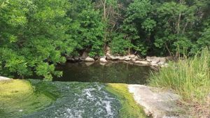 На Кіровоградщині до кінця року планують створити чотири нові території природно-заповідного фонду