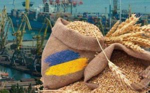 Український агроекспорт становить понад 11 мільярдів доларів за пів року 