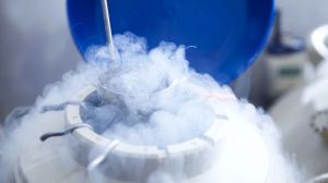 Військові мають змогу безоплатно зберегти репродуктивні клітини: як це працює і куди звертатись