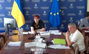 Розглянуто законодавчі ініціативи, спрямовані на удосконалення соціального захисту населення
