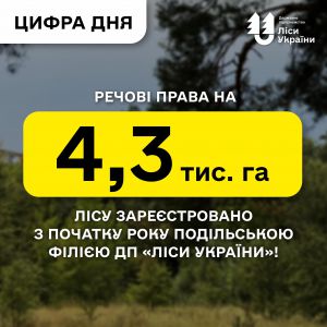 Речові права на 4,3 тис. га лісу зареєстровано з початку року Подільською філієюДП «Ліси України»