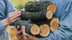 Кіровоградщина готується до опалювального сезону: потрібно 450 тисяч кубометрів дров