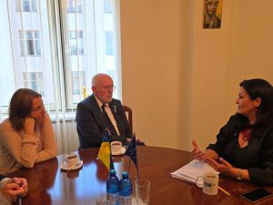 Іванна Климпуш-Цинцадзе зустрілася з депутатами Палати представників Парламенту Нідерландів