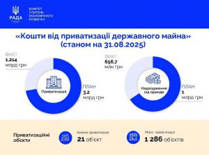 Комітет з питань економічного розвитку тримає на контролі надходження коштів від приватизації державного майна