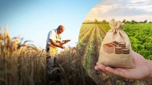 У Державному аграрному реєстрі (ДАР) стартує подання заявок на дотації для аграріїв із прифронтових регіонів