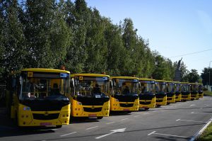 На Київщині організовано підвезення до шкіл для 34,8 тис. учнів