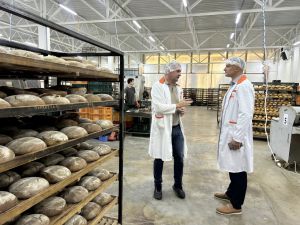 Хлібопекарня на Рівненщині виготовляє 60 тонн продукції щодня та експортує до країн ЄС і США