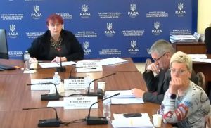 Комітет з питань соціальної політики та захисту прав ветеранів розглянув проект Державного бюджету України на 2026 рік