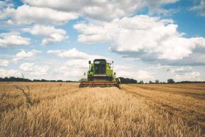 Аграрії продовжують збирати сільськогосподарські культури врожаю 2025 року