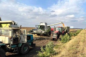 На Кіровоградщині тривають осінньо-польові роботи
