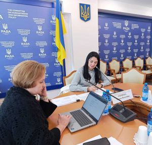 Підкомітет у справах сім’ї та дітей Комітету з питань гуманітарної та інформаційної політики обговорив підготовку до другого читання законопроєкту про наставництво