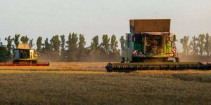 Жнива-2025: зібрано майже 35 мільйонів тонн зернових