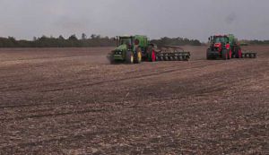 Українським аграріям залишилося засіяти 10 відсотків озимини