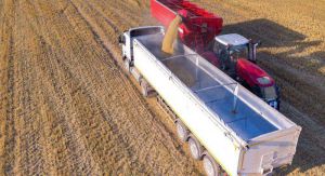 Українські аграрії зібрали вже 43 мільйони тонн зерна нового врожаю