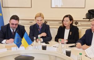 Комітет переглянув висновок щодо змін до законів через оновлення перекладу Європейської хартії регіональних мов