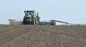 Сівба озимих зернових фінішувала в шести областях України