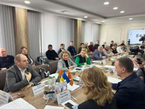 Комітет з питань економічного розвитку: Інструменти 'Зроблено в Україні' - можливості для місцевого економічного зростання 